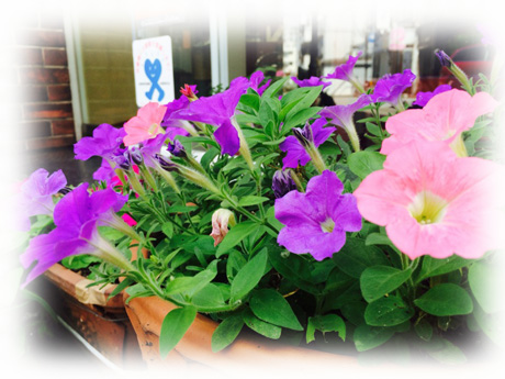 理容室シンシ館のカツラ