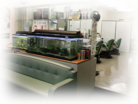 理容室シンシ館のカツラ